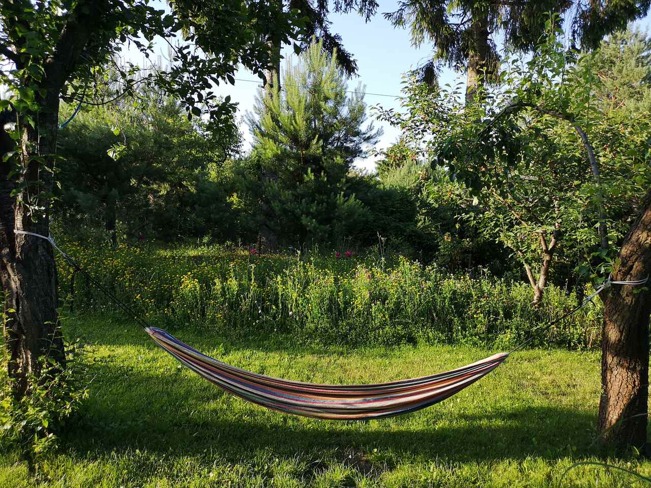 Odpoczynek w ogrodzie