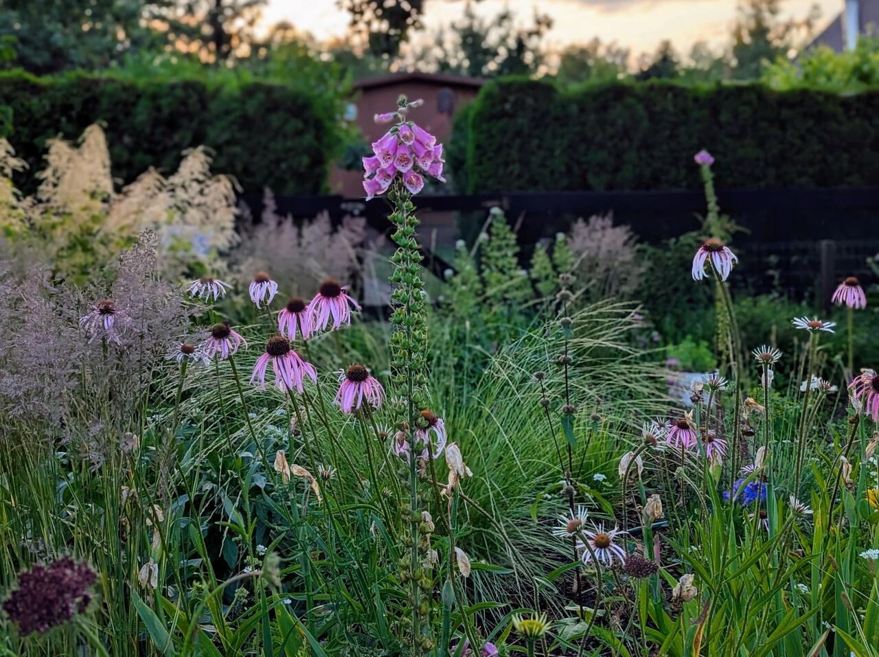 Rabaty inspirowane naturą