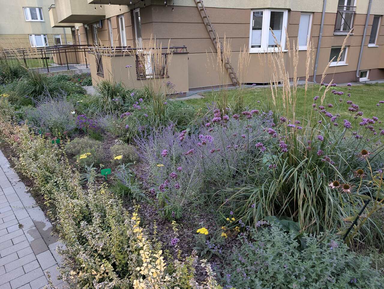 Projekt zieleni osiedlowej