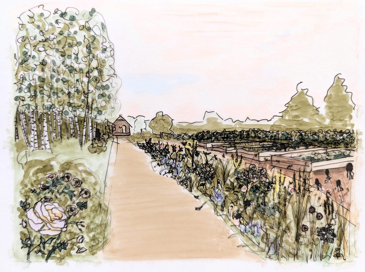 Koncepcja zagospodarowania terenu