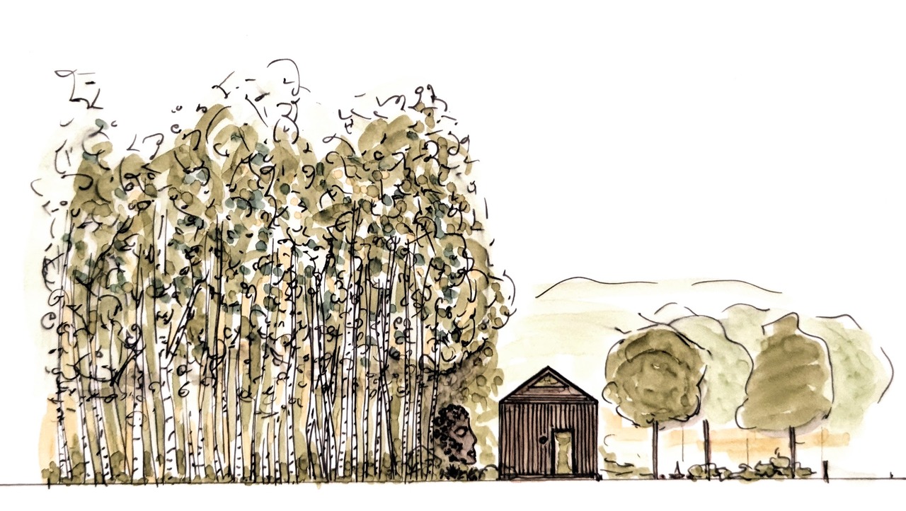 Koncepcja zagospodarowania terenu