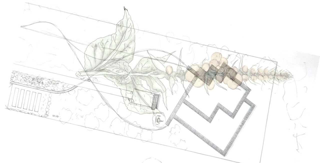 Koncepcja zagospodarowania terenu