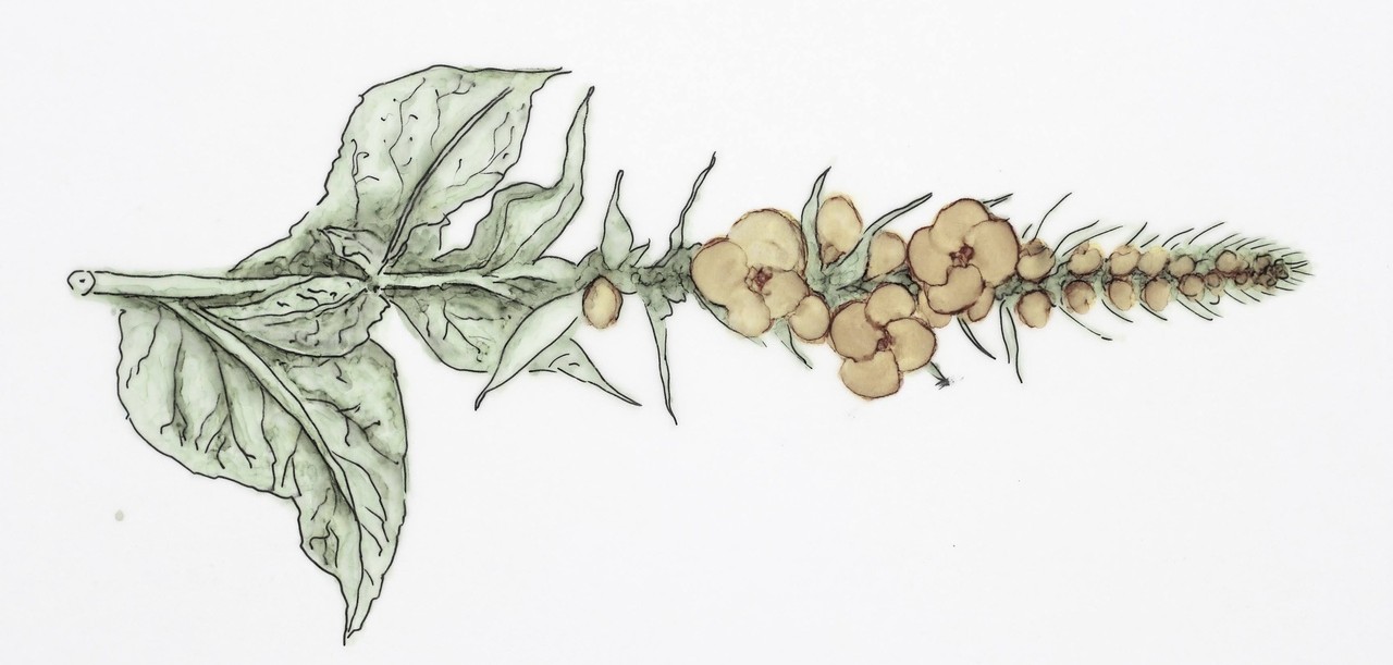 Koncepcja zagospodarowania terenu